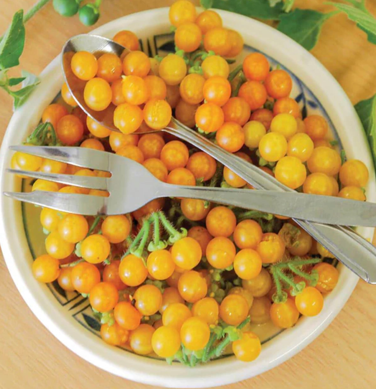 BERRY - Solanum Golden Pearl