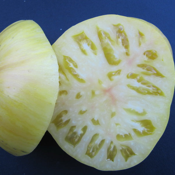 TOMATO - Pineapple Pig