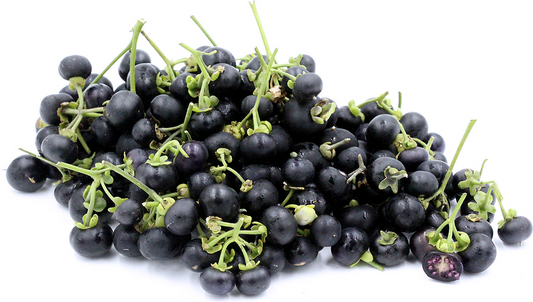 BERRY - Wonderberry Sunberry / Garden Huckleberry