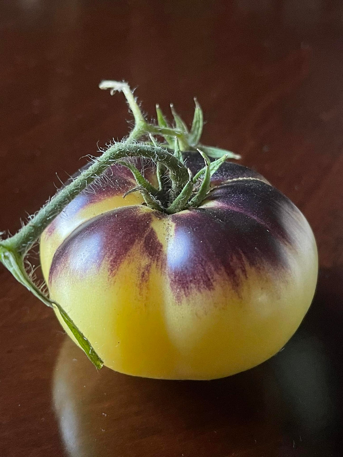TOMATO - Sart Rolaise