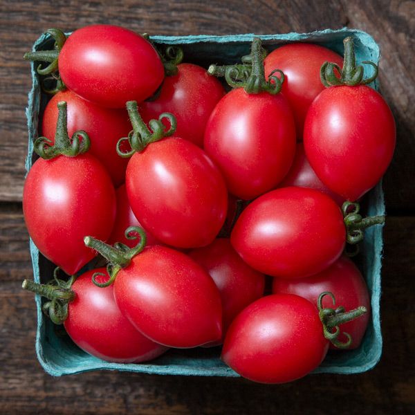 TOMATO - Pink Champagne Grape
