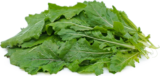 ARUGULA / GREENS - Wasabi Arugula