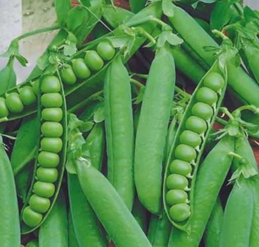 PEAS - Ukrainian Rada Sugar