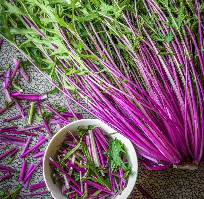 MIZUNA / GREENS - Beni Houshi