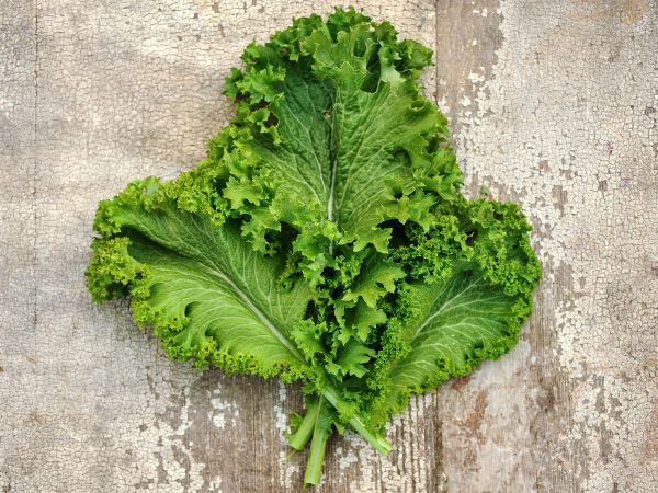 MUSTARD / GREENS - Green Wave Mustard