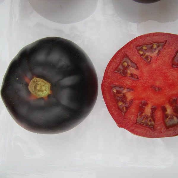 TOMATO - Black Beauty