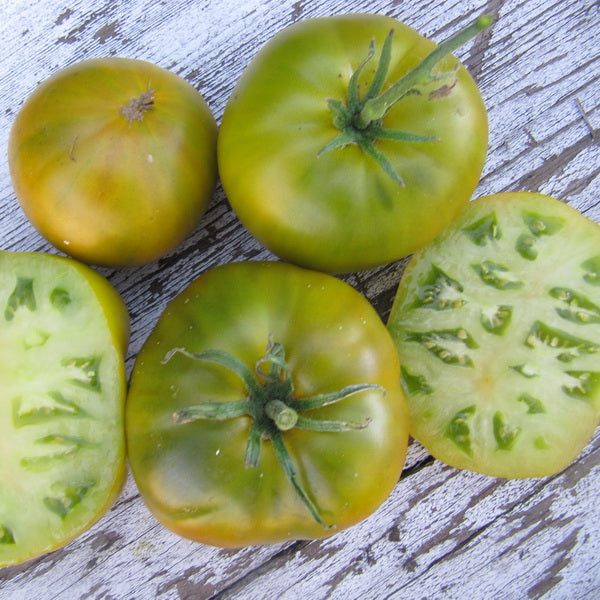 TOMATO - Cherokee Green