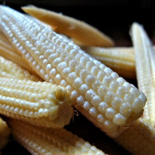 CORN - Chires Baby