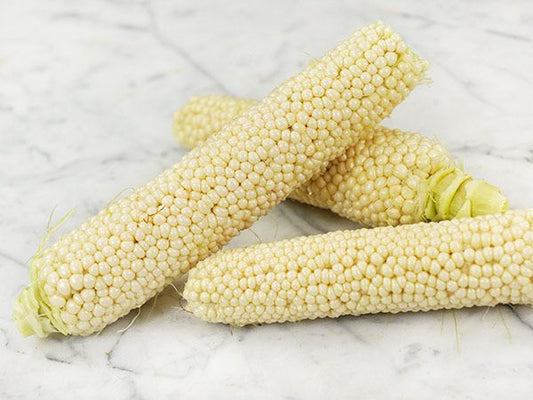 CORN - Country Gentleman Shoepeg White Sweet Corn