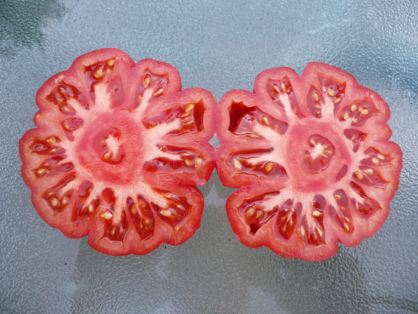 TOMATO - Costoluto Genovese