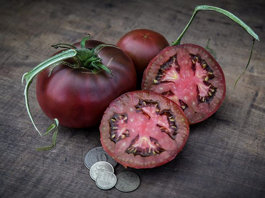 TOMATO - Ukrainian Black from Tula