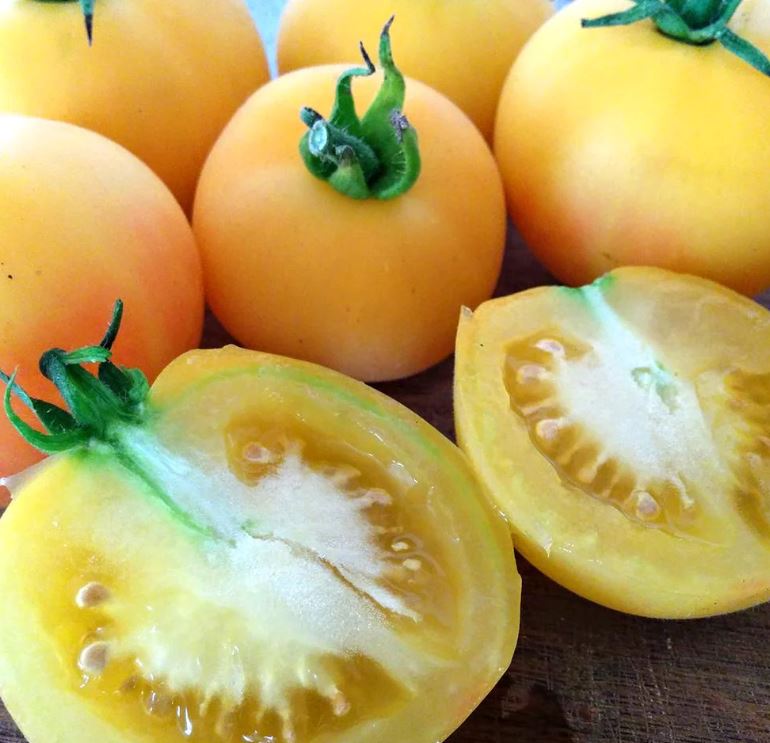 TOMATO - Garden Peach