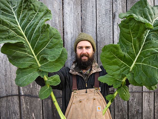 KALE / GREENS - Thousandhead